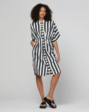 Load image into Gallery viewer, Shiro Shirt Dress | Mono Stripe