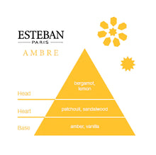 Load image into Gallery viewer, Esteban Diffuser | Ambre