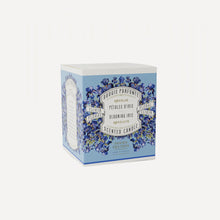 Load image into Gallery viewer, Blooming Iris Scented Candle | Panier Des Sans