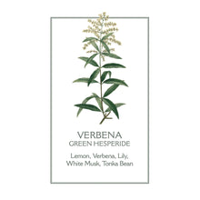 Load image into Gallery viewer, Verbena Marseille Liquid Soap