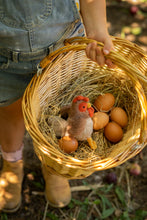 Load image into Gallery viewer, Bubba Rooster Rattle