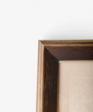 Load image into Gallery viewer, Butterfly Study Wall Art