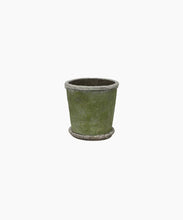 Load image into Gallery viewer, Evergreen Plant Pot &amp; Saucer