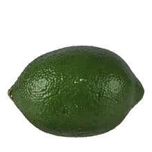 Load image into Gallery viewer, Lime | Decorative